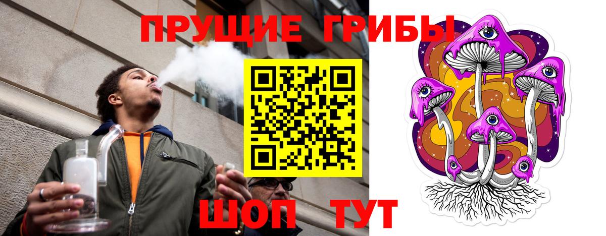 Галлюциногенные грибы Psilocybine cubensis Тимашёвск